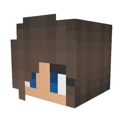 AnNaIsTHoMoSeXuE Minecraft avatar head, 3D render