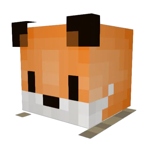 AnOrangePeel Minecraft avatar head, 3D render