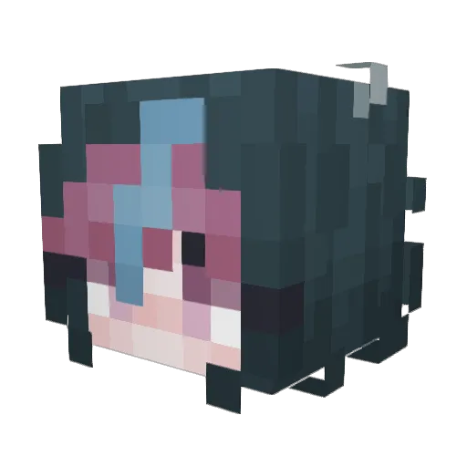 AnQuack Minecraft avatar head, 3D render