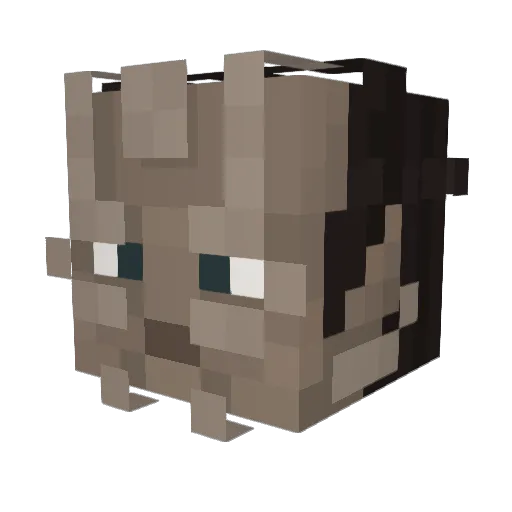AnSandwich Minecraft avatar head, 3D render