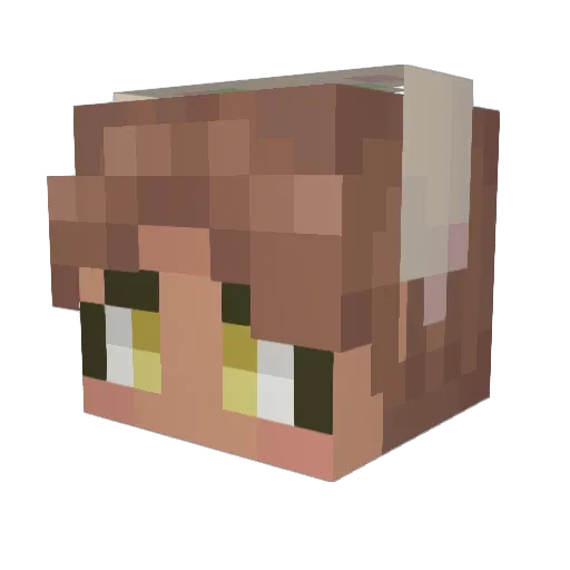 AnSaysHi Minecraft avatar head, 3D render