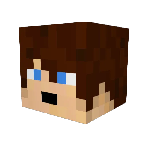 AnThonyX73 Minecraft avatar head, 3D render