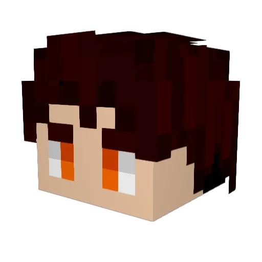 AnYiWn Minecraft avatar head, 3D render