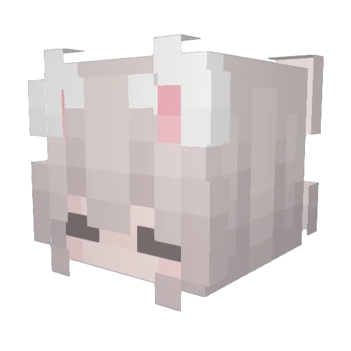 AnYiy0 Minecraft avatar head, 3D render