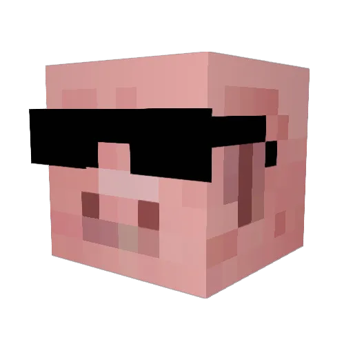AnYwaY1 Minecraft avatar head, 3D render