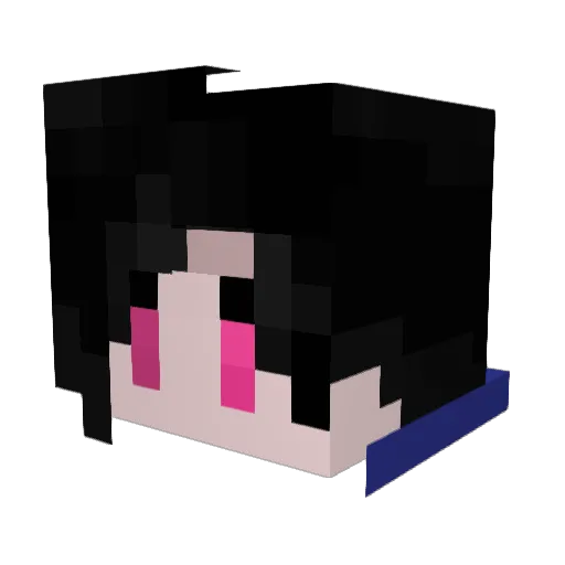 An_1_x Minecraft avatar head, 3D render