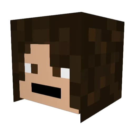 An_Goosey Minecraft avatar head, 3D render
