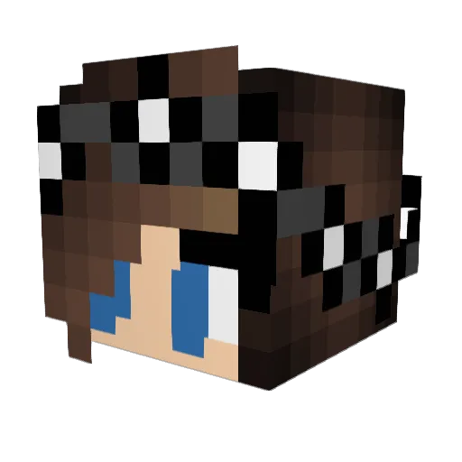 An_Unbiased_ARMY Minecraft avatar head, 3D render