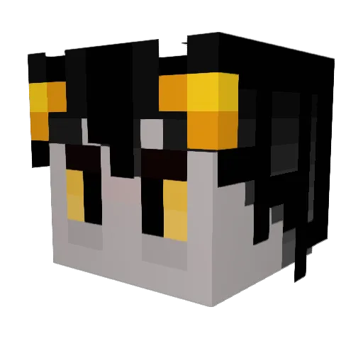 An__Tran Minecraft avatar head, 3D render