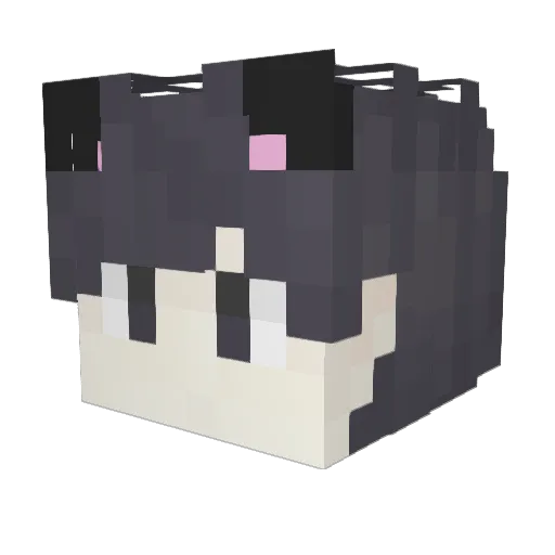 An_ano Minecraft avatar head, 3D render