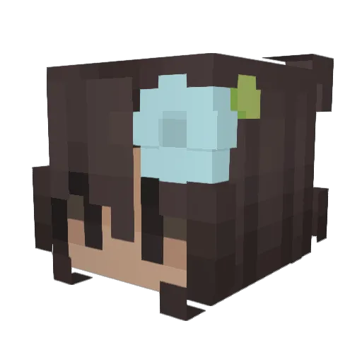 Ana200100 Minecraft avatar head, 3D render