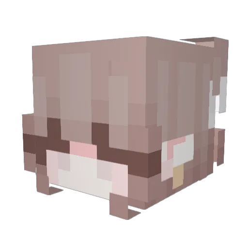 Ana654 Minecraft avatar head, 3D render