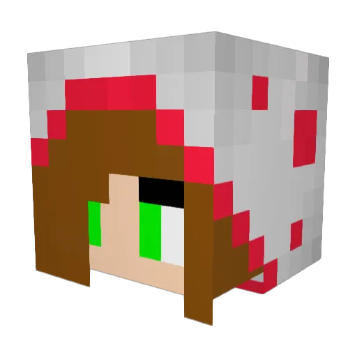 Ana_Julia Minecraft avatar head, 3D render