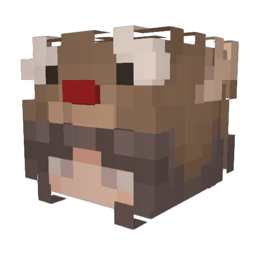 Ana_MEOW Minecraft avatar head, 3D render