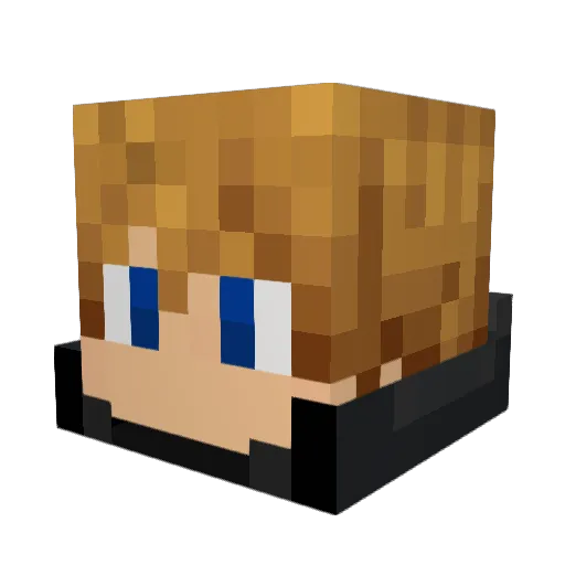 Ana_tomy Minecraft avatar head, 3D render