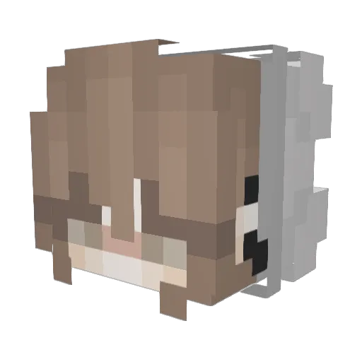 Anaay Minecraft avatar head, 3D render