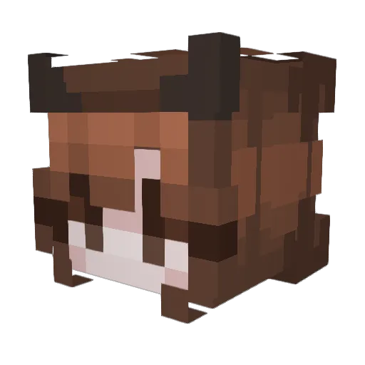 Anacf07 Minecraft avatar head, 3D render