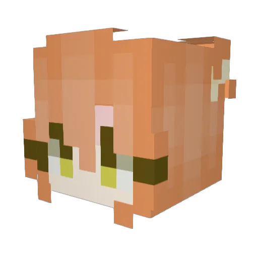Anachi_ Minecraft avatar head, 3D render