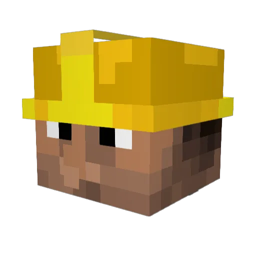 Anachr0n1st Minecraft avatar head, 3D render