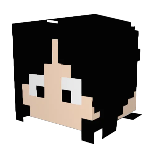 Anachuchu55 Minecraft avatar head, 3D render