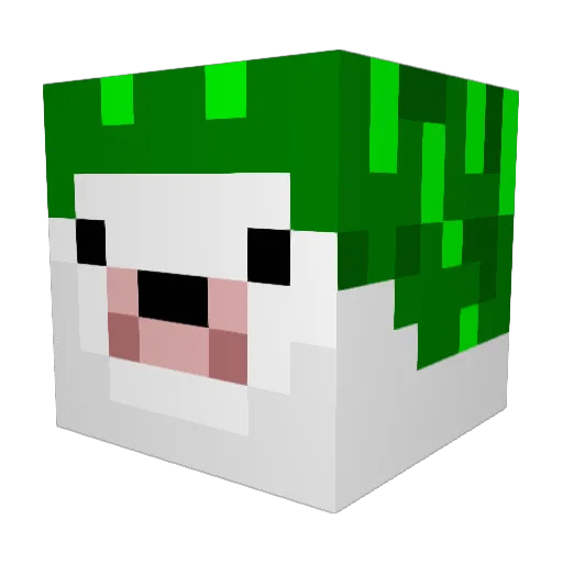 Anaco888 Minecraft avatar head, 3D render