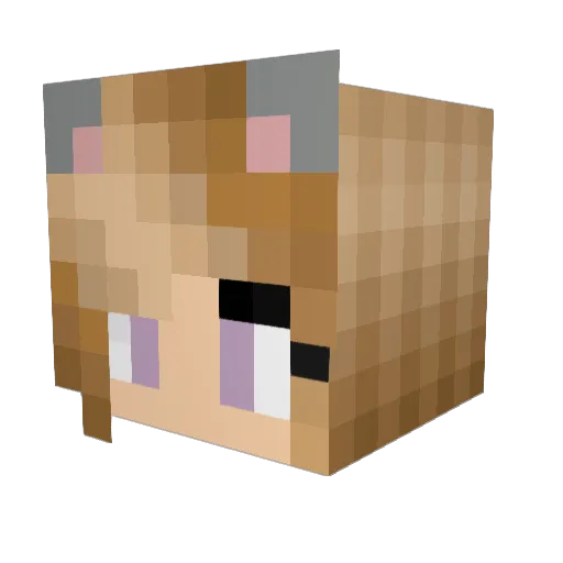 Anacool08 Minecraft avatar head, 3D render