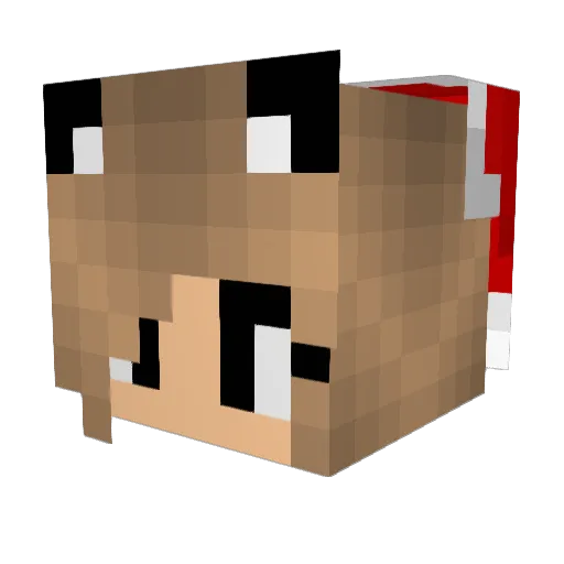 Anadina Minecraft avatar head, 3D render