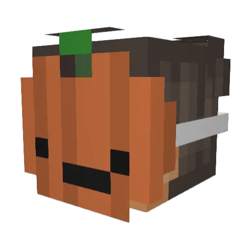 Anadolu_Gamer2 Minecraft avatar head, 3D render