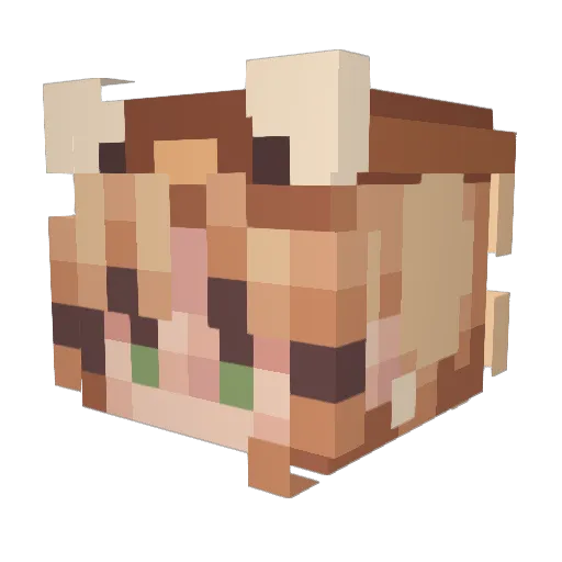 Anafese Minecraft avatar head, 3D render