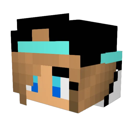 Anagamer3000 Minecraft avatar head, 3D render