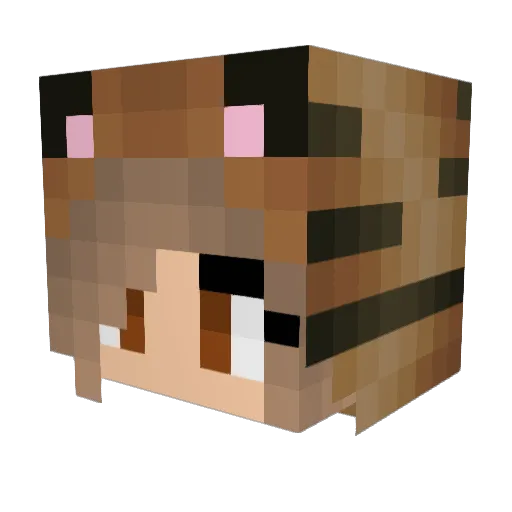 Anaida123 Minecraft avatar head, 3D render