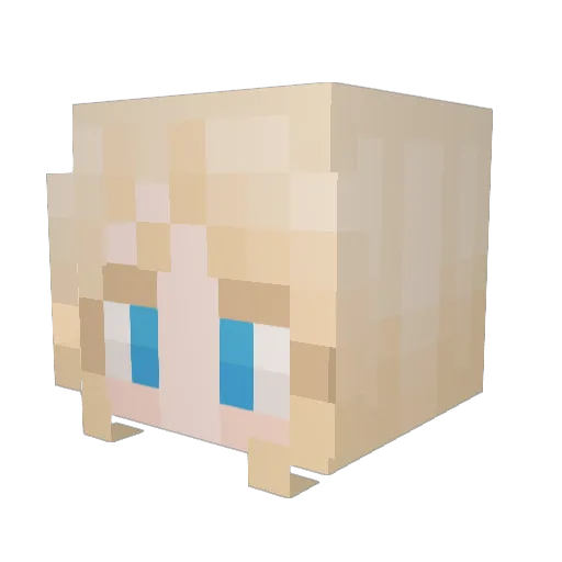 Anais505 Minecraft avatar head, 3D render