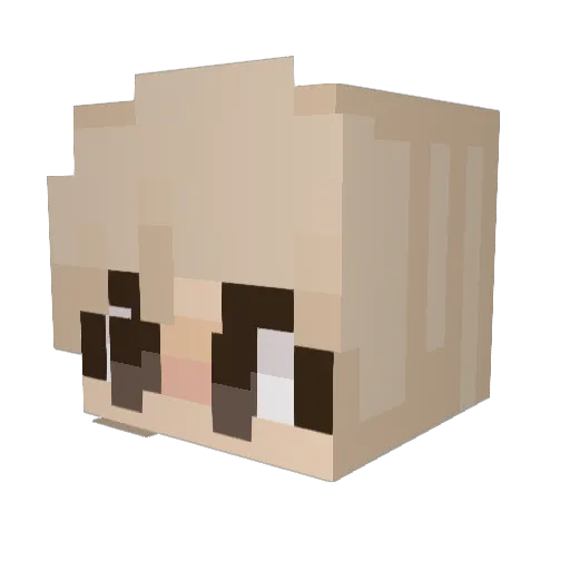 AnaiyaLama Minecraft avatar head, 3D render