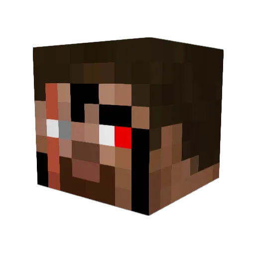 Anakin2112 Minecraft avatar head, 3D render