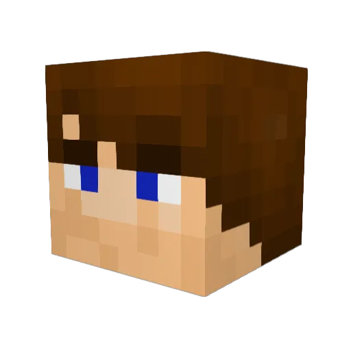 Anakin3642 Minecraft avatar head, 3D render