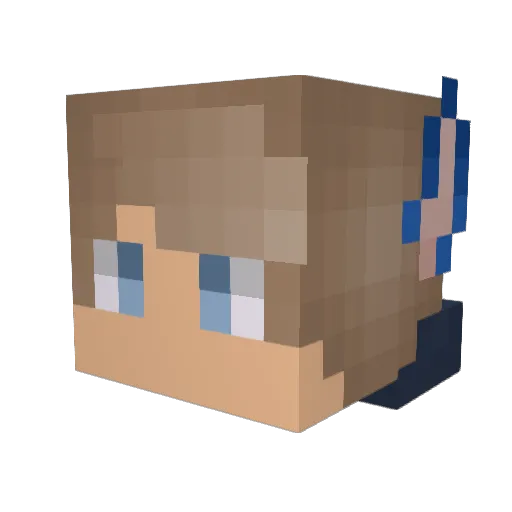 Anakin94 Minecraft avatar head, 3D render