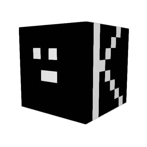 AnakinCal Minecraft avatar head, 3D render