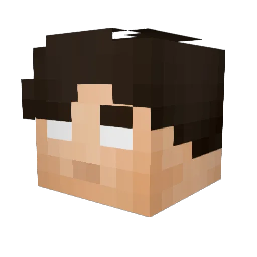 AnakinSkywalker Minecraft avatar head, 3D render