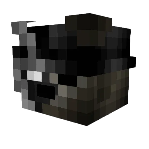 AnakinSxfewalker Minecraft avatar head, 3D render