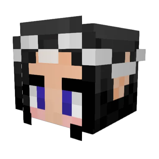 AnakitKenobi Minecraft avatar head, 3D render