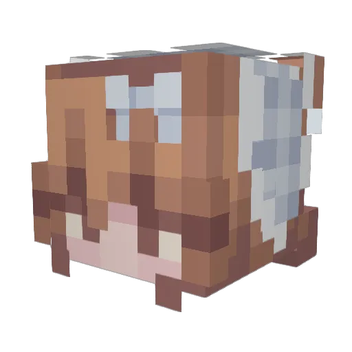 Anakkoo Minecraft avatar head, 3D render