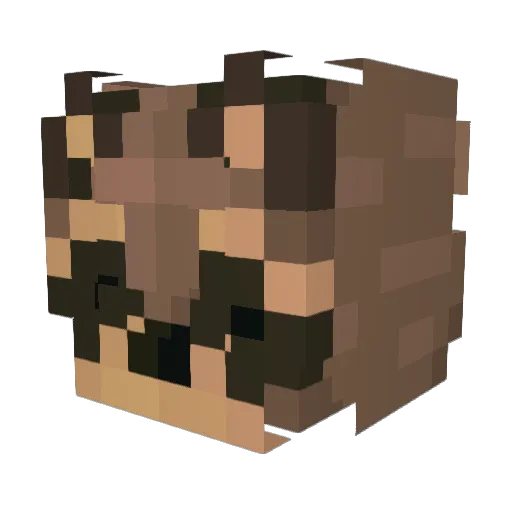 AnalProber23 Minecraft avatar head, 3D render
