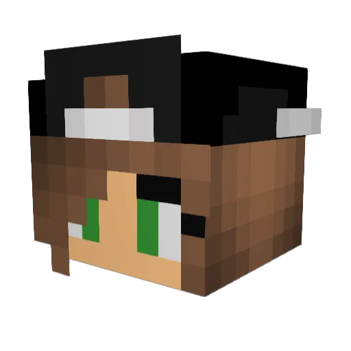 Analogkid2112 Minecraft avatar head, 3D render