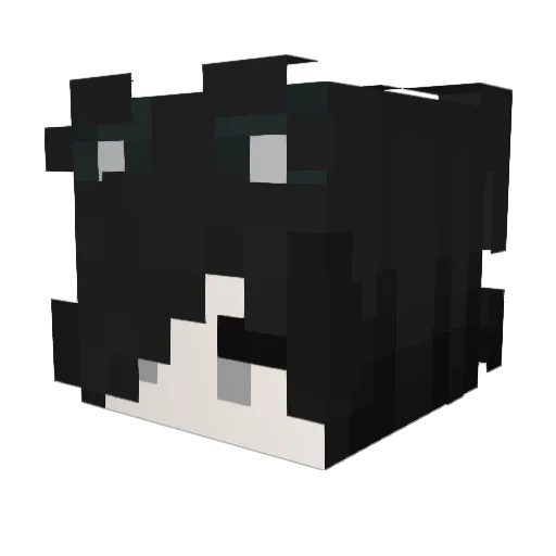 Analyze_Cat Minecraft avatar head, 3D render