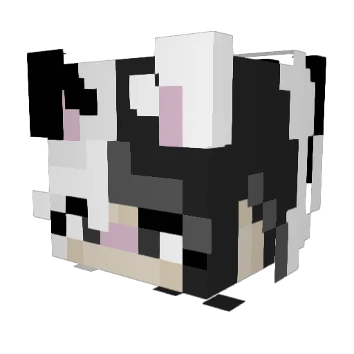 AnanA_1 Minecraft avatar head, 3D render