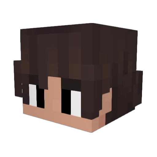 AnanGaming Minecraft avatar head, 3D render