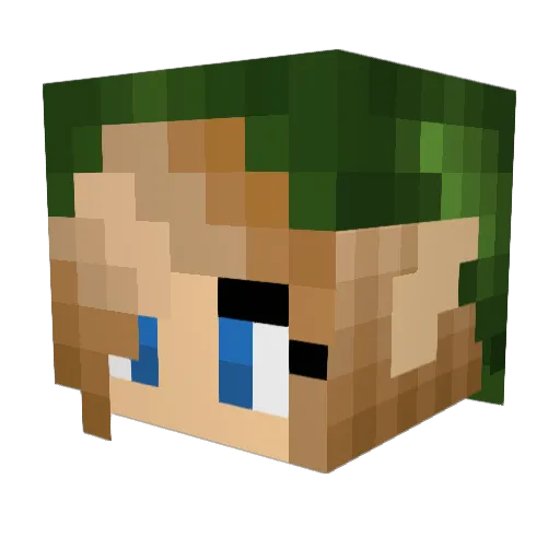 AnanGapple7 Minecraft avatar head, 3D render