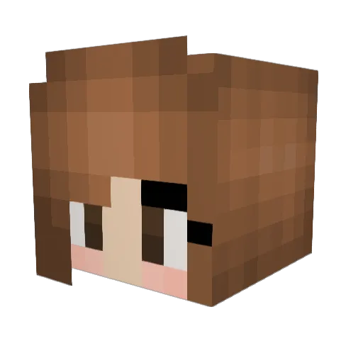 Anan_2006 Minecraft avatar head, 3D render