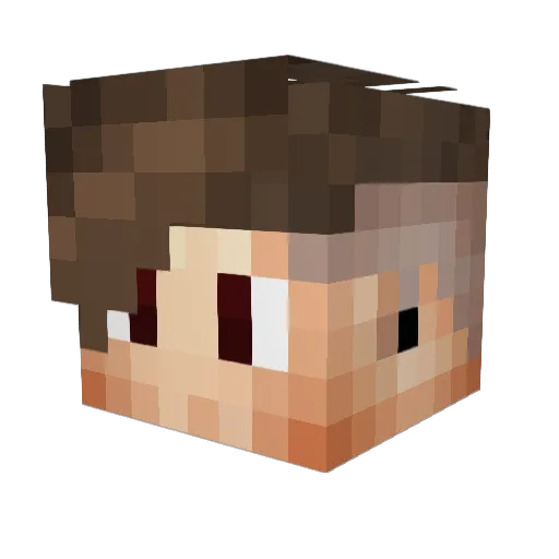 Ananas200 Minecraft avatar head, 3D render
