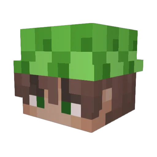 Ananas204 Minecraft avatar head, 3D render